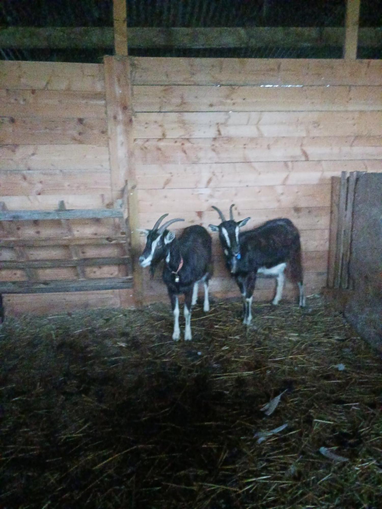 דירות Tréguier La Ferme Stanczak מראה חיצוני תמונה