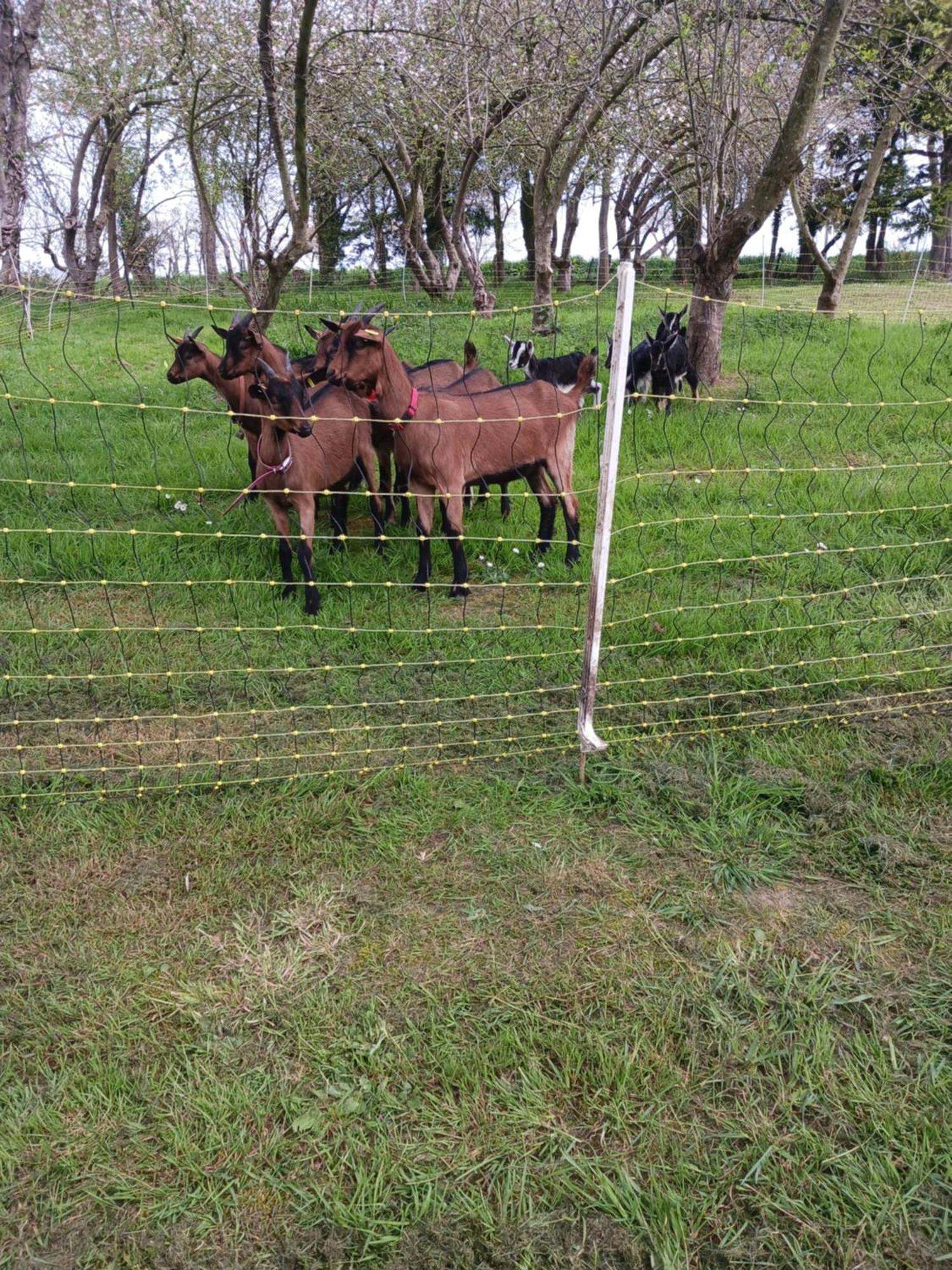 דירות Tréguier La Ferme Stanczak מראה חיצוני תמונה